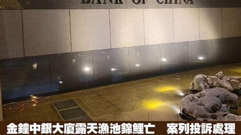 中銀大廈死亡|金鐘中銀大廈露天漁池錦鯉亡 案列投訴處理